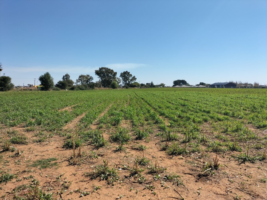 Commercial Property for Sale in Bainsvlei Free State